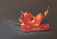 Autumn Leaf Recorded Video