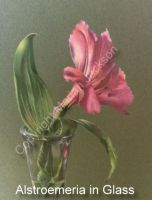 Alstroemeria in Glass Tutorial