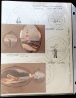 Suncatchers by Morene Schultz