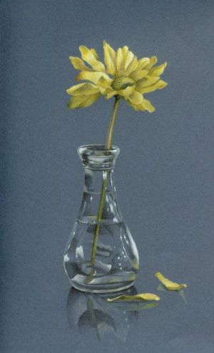 Yellow Daisy Colored Pencil Tutorial